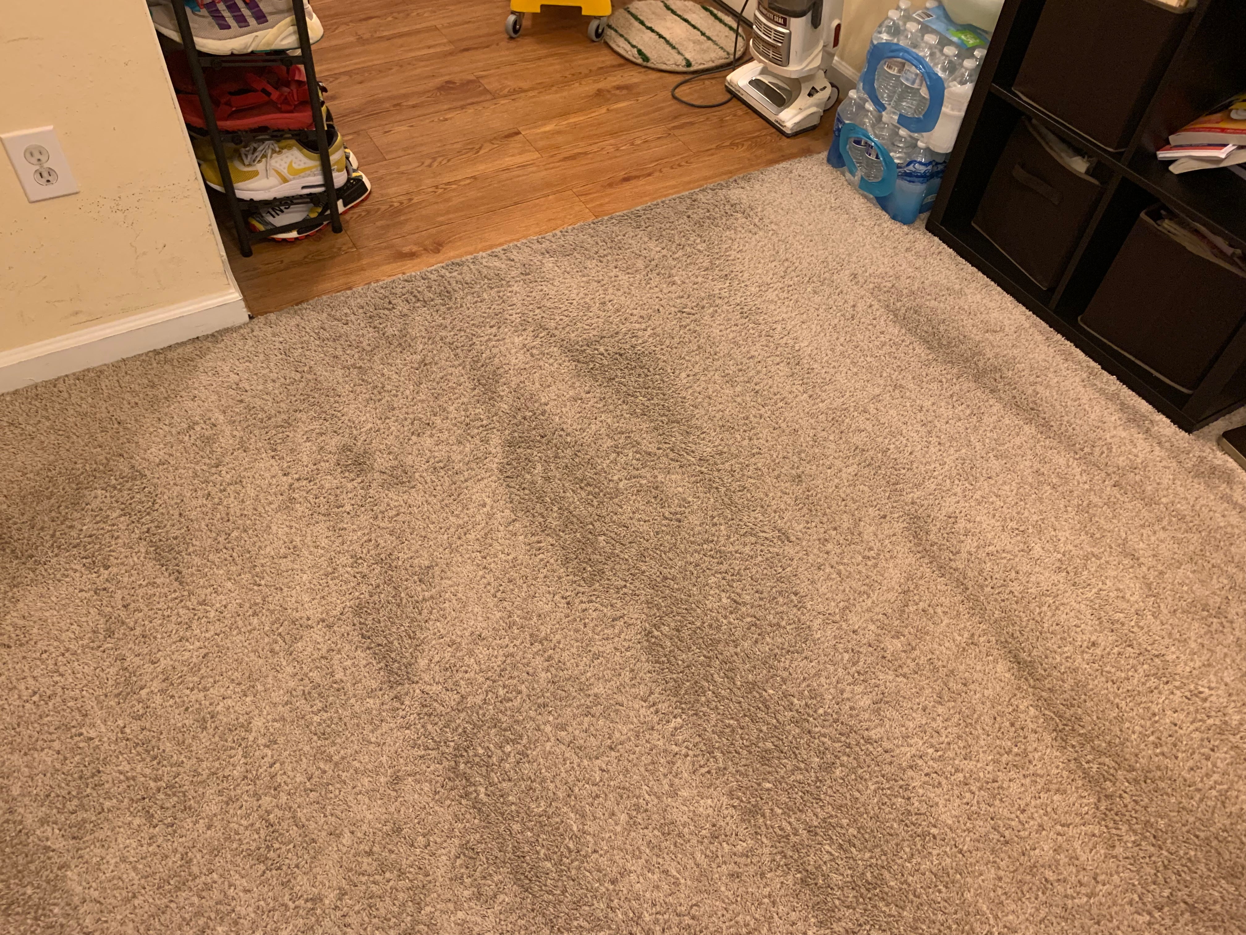 Quarterly Complete Carpet Cleaning Subscription